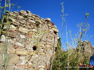 n Michele Forza Agro-31-08-2015 09-14-23